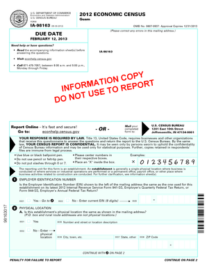 2012 Economic Census Form IA-98163