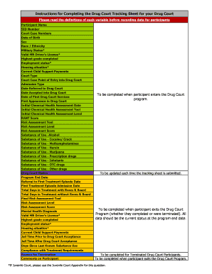 Fillable Online Instructions for Completing the Drug Court Tracking Fillable Online Instructions for Completing the Drug Court Tracking