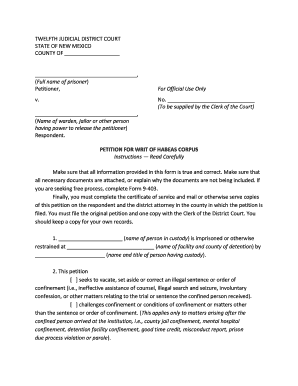 ex parte emergency custody petition and order