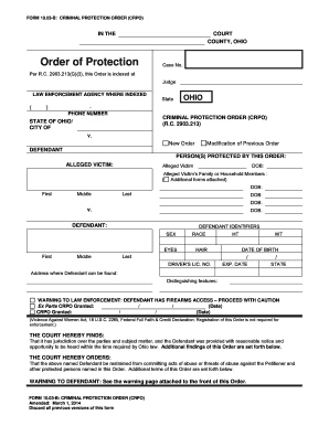 Criminal Protection Order Form 10.03-B