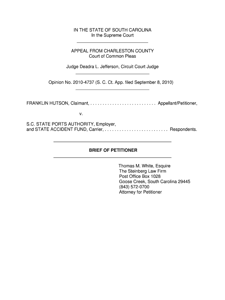 Brief of Petitioner - South Carolina Judicial Department - judicial state sc Preview on Page 1