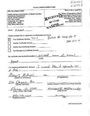 South Carolina Annual Report Form