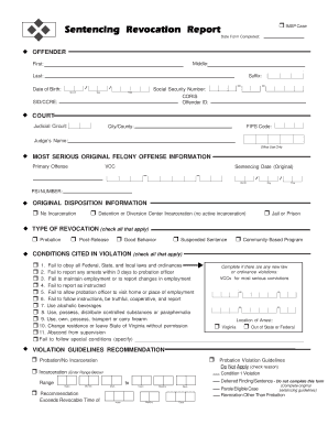 Sentencing Revocation Report