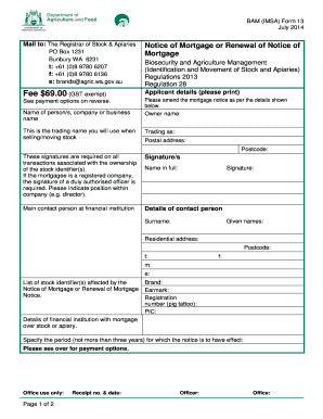 BAM (IMSA) Form 13