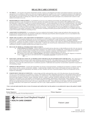 Health Care Consent Form