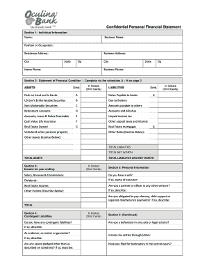 Electronic Personal Financial Statement