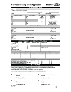 Business Banking Credit Application