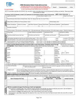 Visa Business Credit Card Application