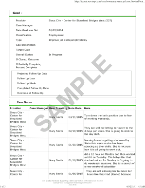 Cinnamin Employment Goal Plan Notesxps