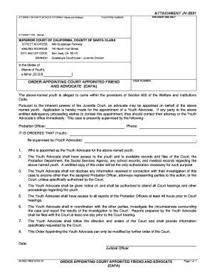 California Court Appointed Friend and Advocate Order