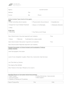 Critical Incident Report Form
