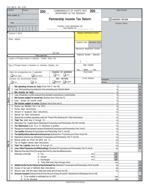 Puerto Rico Partnership Income Tax Return Form 480.10