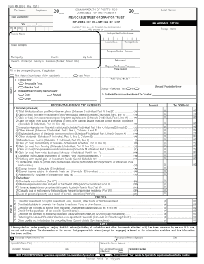 Puerto Rico Revocable Trust Informative Income Tax Return