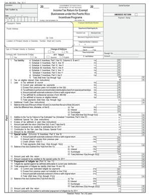 Puerto Rico Exempt Business Income Tax Return