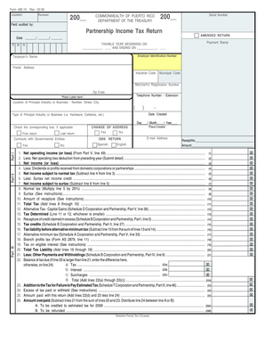 Puerto Rico Partnership Income Tax Return Form 480.10