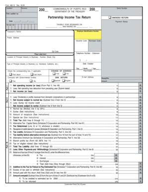 Puerto Rico Partnership Income Tax Return Form 480.10