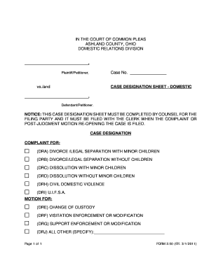 Case Designation Sheet - Domestic Relations