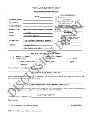 NAIC Health Insurance Reporting Form