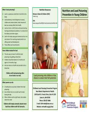 Fillable Online What is lead poisoning Fax Email Print - pdfFiller