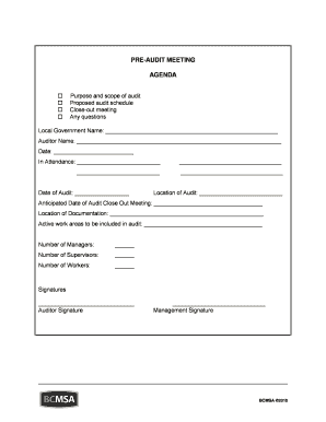 Pre-Audit Meeting Agenda