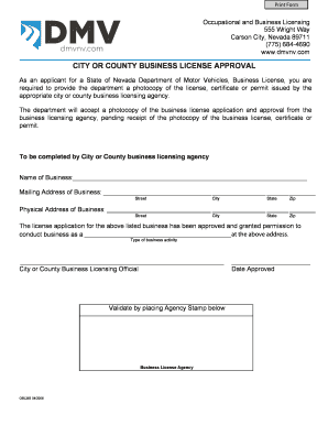 Nevada Business License Approval Form