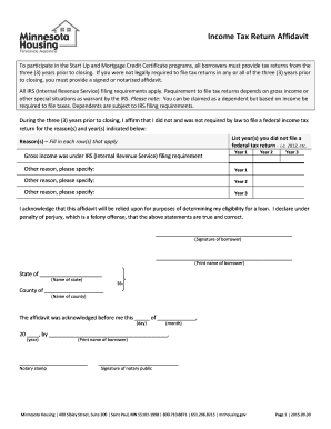 Income Tax Return Affidavit
