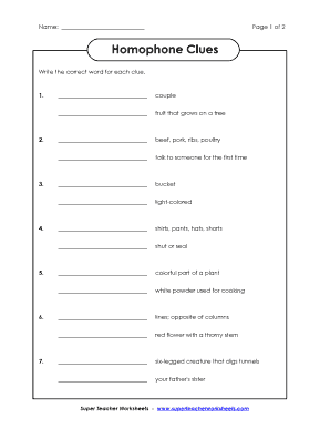 Homophone Clues Worksheet