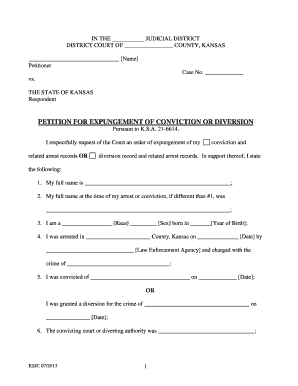 Petition for Expungement of Conviction or Diversion