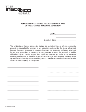 Indemnity Agreement Addendum