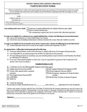 California Traffic Infraction Amnesty Program Form