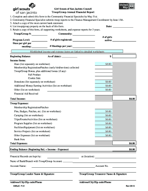 Girl Scouts Annual Financial Report