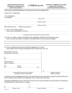 Vehicle Registration Affidavit