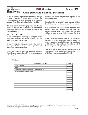 Child Status and Financial Statement Form 12