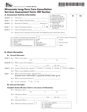 Minnesota Long Term Care Consultation Services Assessment Form