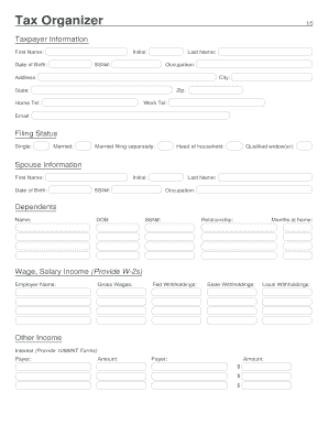 US Federal Tax Organizer Form