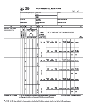 Public Works Payroll Reporting Form