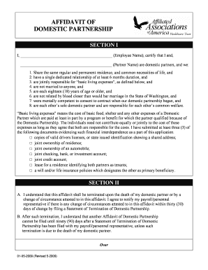 Affidavit of Domestic Partnership