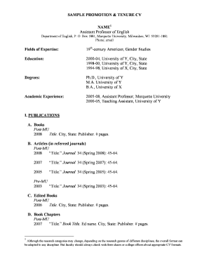 Academic Promotion and Tenure CV Template