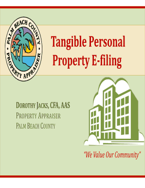 Palm Beach County Tangible Personal Property E-filing