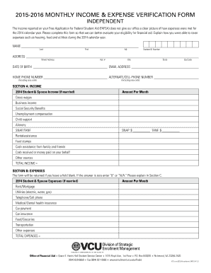 Monthly Income and Expense Verification Form