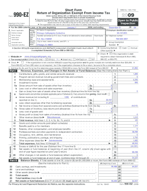 Form 990-EZ Tax Return