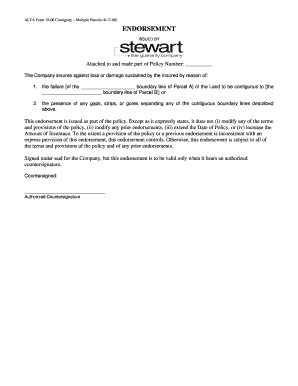 ALTA Form 19-06 Contiguity Endorsement