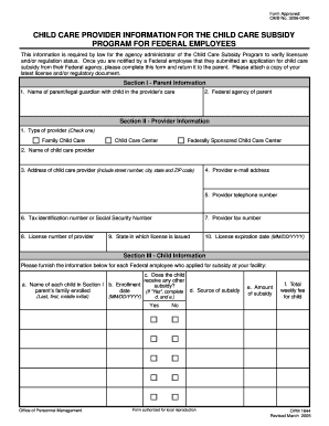 Child Care Provider Information Form