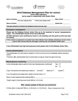 Diabetes Management Plan for School