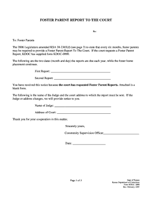 Foster Parent Report to the Court