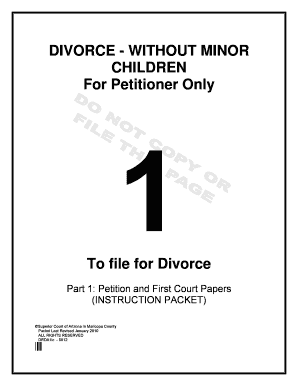 Arizona Divorce Petition Without Minor Children