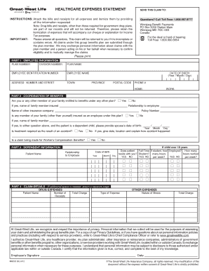 Healthcare Expenses Statement