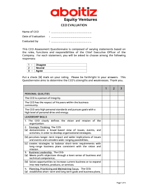 CEO Evaluation Form