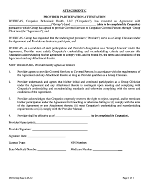 Provider Participation Attestation