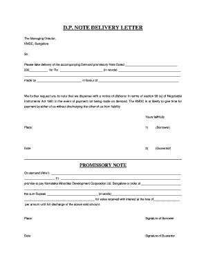 Promissory Note Delivery Letter